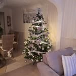 Ann Ching - @ching_harry - Instagram
