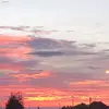 Turtles 🐢 - @harry.ching - TikTok