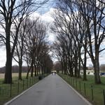 Harry Chiu - @alpha7vision - Instagram