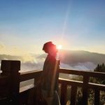 Harry Choy - @choy_harry - Instagram