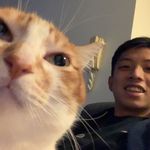 Harry Choy - @littlehay_11 - Instagram