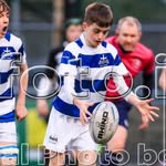 Harry Clancy - @hclancy_29 - Instagram
