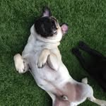 Harry Clare - @harryclare8 - Instagram