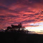Harry Clegg - @harry_clegg - Instagram