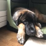 @harryclose - Instagram