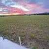 2k 24🏉 - @harry.coates07 - TikTok