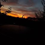 Harry coates - @hazza_photography117 - Instagram