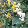 Harry Coates - @harry.coates4 - TikTok