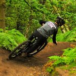 Harry Coe - @harry.coe_ - Instagram