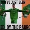 HarryCollier283 - @harry_colllier283 - TikTok