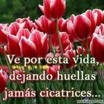 Loriani Harry Colon - @lorianiharrycolon - Instagram