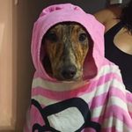 @harrycontini - Instagram