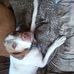 Harry Cornwell - Facebook