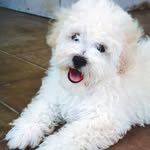 Harry Cotton - @harry040822 - Instagram