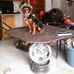 Harry Crandall - Facebook