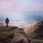 Harry Crews - @harry_crews - Instagram