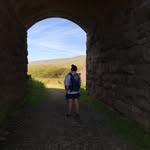 Harry Crisp - @harrycrisp - Instagram