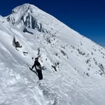 Harry Crook - @harry_crook - Instagram