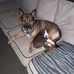 Harry Crossman - Facebook