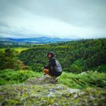 Haroldzinio - @harry_curley - Instagram