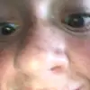 harrycutler - @thatgayboyeveryonelikes - TikTok