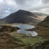 Homo - @harry._.cutler - TikTok