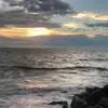 Harrydach - @harrydach - TikTok