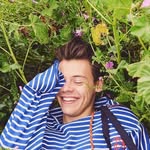 HARRY DAILY UPDATES - @harrystylesolivia - Instagram