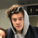 Harry Updates Arg. - @harrydailyarg - Instagram