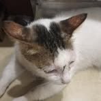 Harry Đàm - Facebook