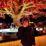 @harry_dambrosio - Instagram