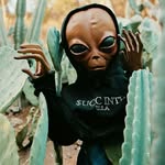 Harry Dame - @harry_dame898 - Instagram