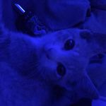 harry dangler - @velocityofthesquareroot - Instagram