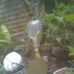 Dhank Harry - Facebook