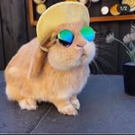 @harry.danton93 - Instagram