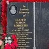 alfie rodgers - @harrydark7 - TikTok