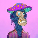 Harry Dark - Facebook
