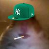 user316099364149 - @..harry.darling - TikTok