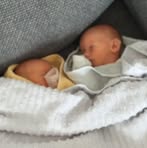 Harry Daum - Facebook