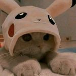 harry dave - @harry_dave6 - Instagram