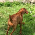 @harry.dawes29 - Instagram