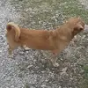harrydawessr - @harrydawessr - TikTok