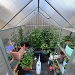 Greeh house gram - @harrydeestudio - Instagram