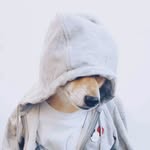 Harry Deng - @harrisostudio - Instagram