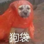 Harry Deng_邓宇 - @dengyu_1120 - Instagram