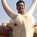 Harry Denis - @praveengowda3725 - Instagram