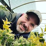 Harry Denison - @harry_denison - Instagram
