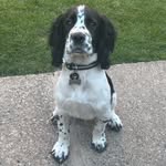 Harry Denman - @harryjd04 - Instagram