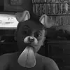 Harry denman - @harrydenman - TikTok