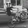 Harry Dennison - @harrydennison420 - TikTok